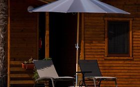 Sunny Garden Pansion